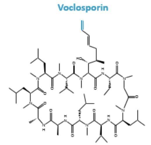 voclosporin voclosporin