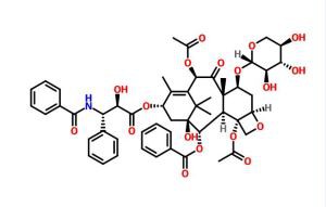 7-xiloziltaxol CAS 90332-66-4