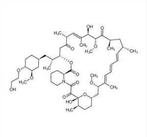 Everolimus CAS 159351-69-6