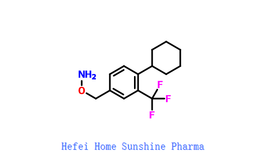 O- (4-ciklohexil-3- (trifluor-metil) -benzil) -hidroxil-amin CAS 800379-62-8