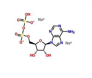 Adenozin 5'-difoszfát-difoszfát-diodium só(ADP-Na2) CAS 16178-48-6