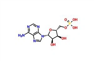 Adenozin 5'-monofoszfát (AMP) CAS 61-19-8