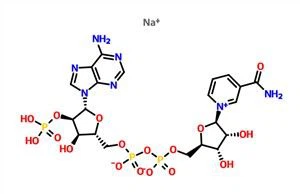 Béta-nikotinamid adenin-dinukleotid-foszfát-nátriumsó NADP+Na CAS 1184-16-3