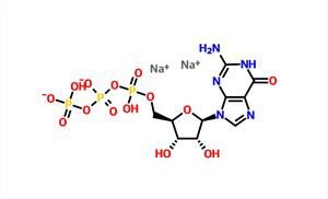 Guanosine5'-(tetrahydrogen Triph) (GTP-Na2) CAS 56001-37-7