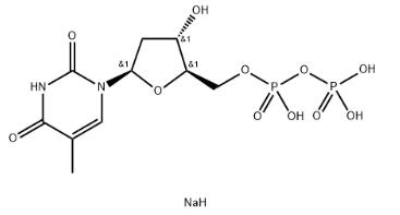 2'-dezoxitimidin 5'-difoszfát trinátriumsó CAS 95648-78-5